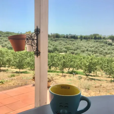 Apartment Mandorleo