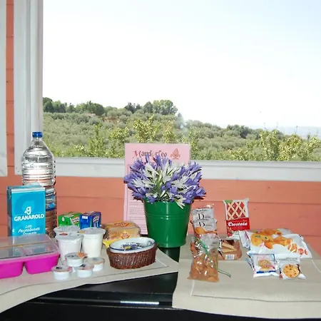 Apartment Mandorleo
