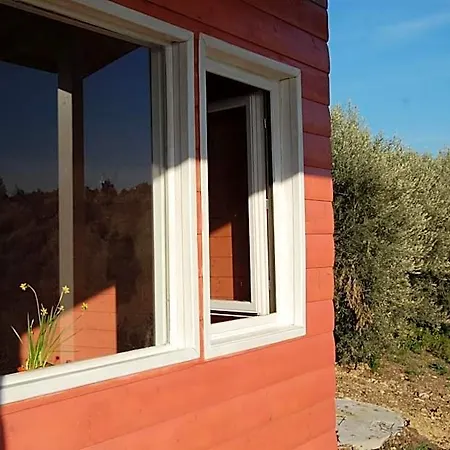 Apartamento Mandorleo